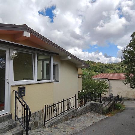 Apartma Apollonio Črni Kal Eksteriør billede